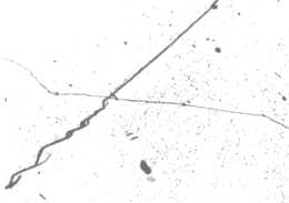 Stress corrosion,<BR>
 Microsection