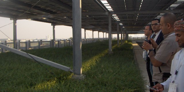 Plants on the roof for effective insulation.